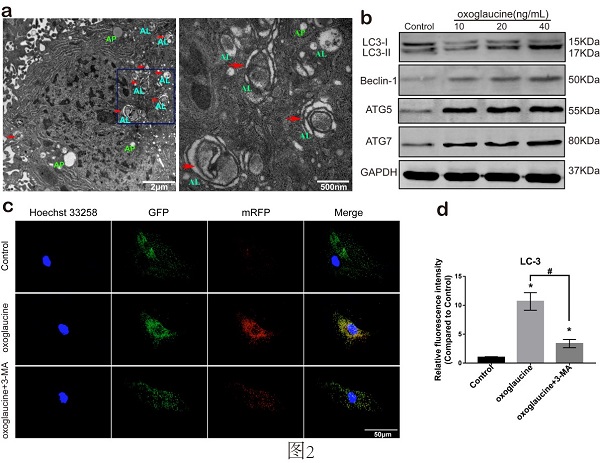 beat365在线体育app