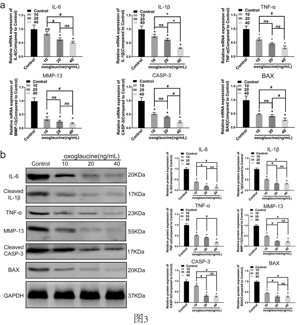 beat365在线体育app