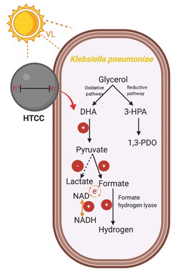 beat365在线体育app