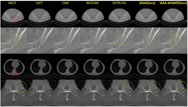 beat365在线体育app