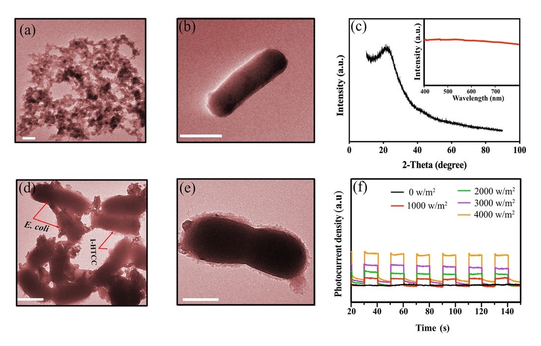 beat365在线体育app