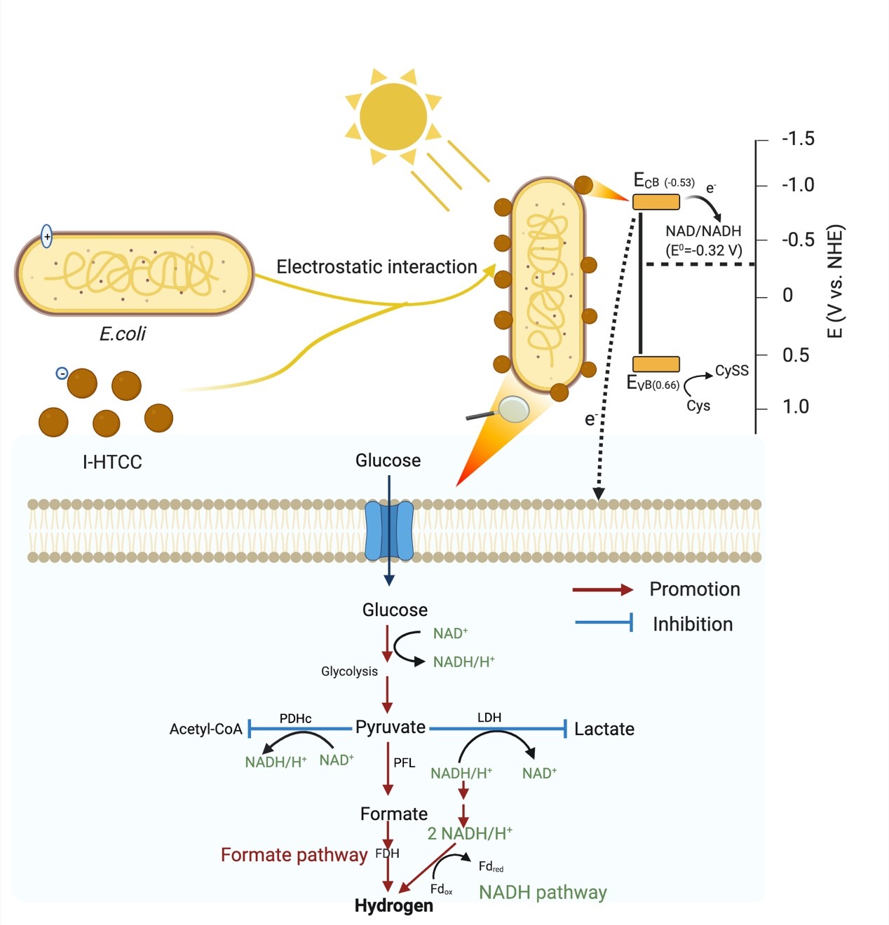 beat365在线体育app
