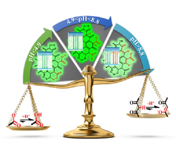 beat365在线体育app