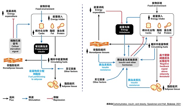 beat365在线体育app