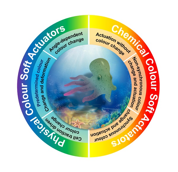 beat365在线体育app