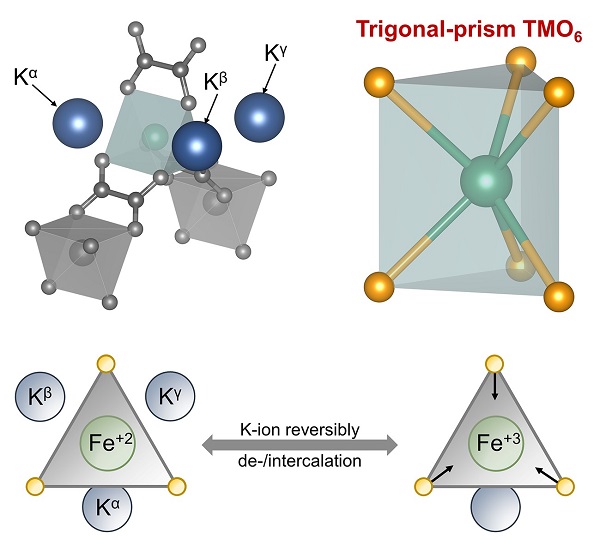 beat365在线体育app