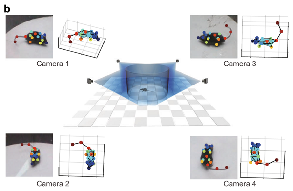 beat365在线体育app