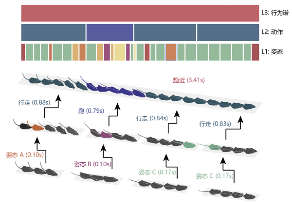 beat365在线体育app