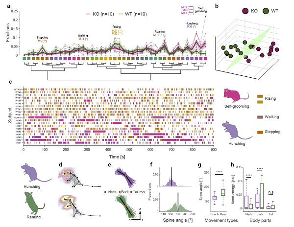 beat365在线体育app