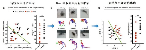 beat365在线体育app