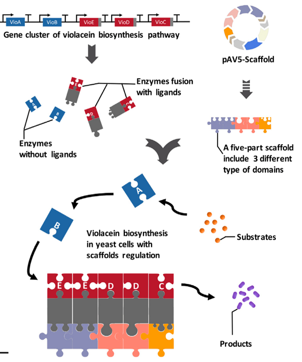 beat365在线体育app