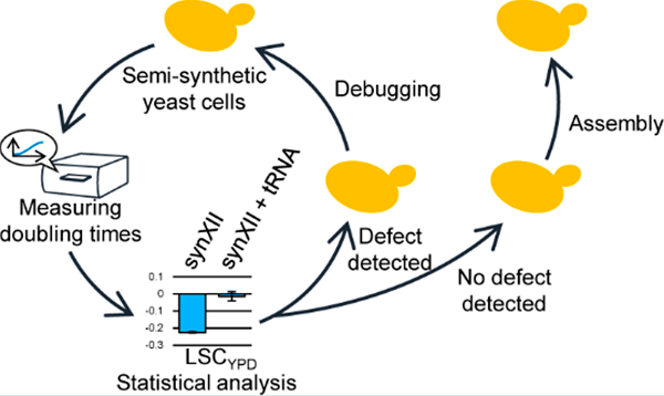 beat365在线体育app