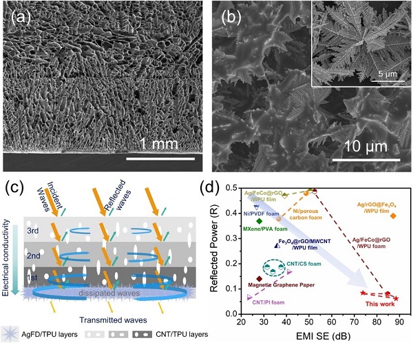 beat365在线体育app