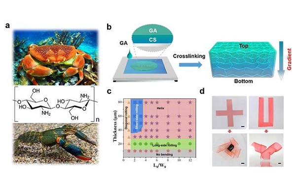 beat365在线体育app