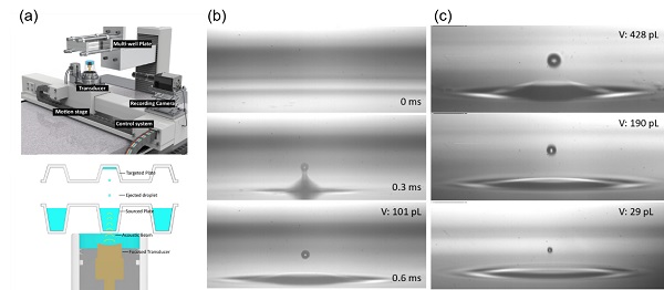beat365在线体育app