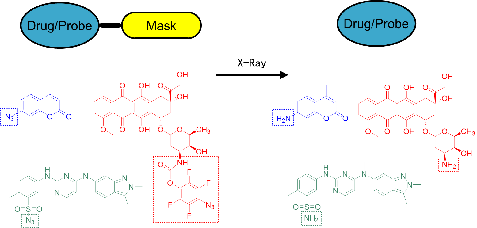 beat365在线体育app