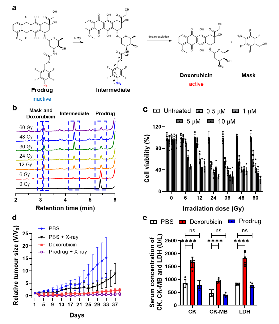beat365在线体育app