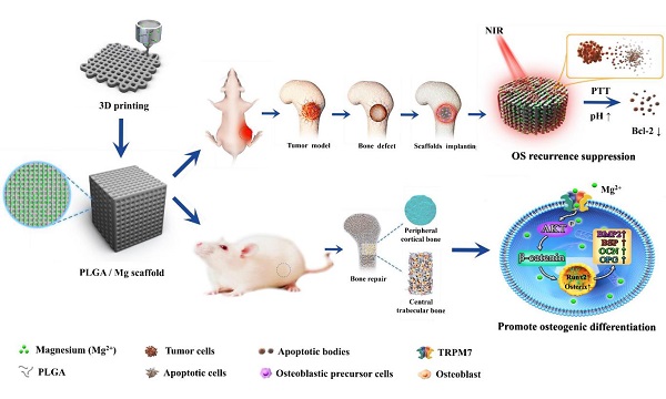 beat365在线体育app