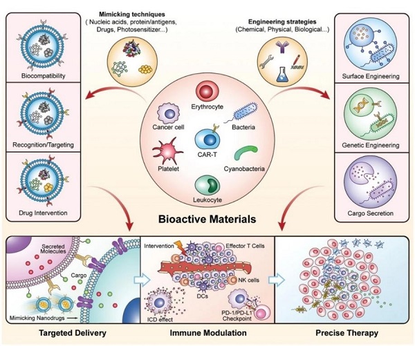 beat365在线体育app