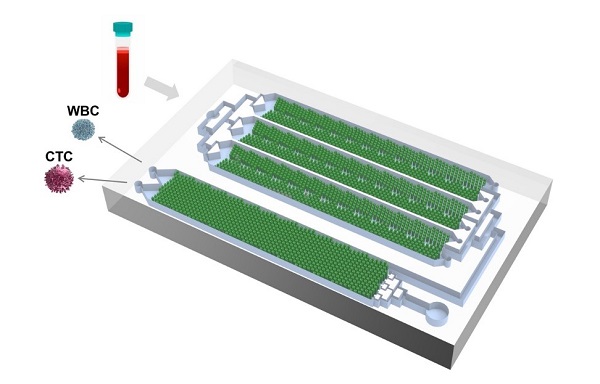 beat365在线体育app