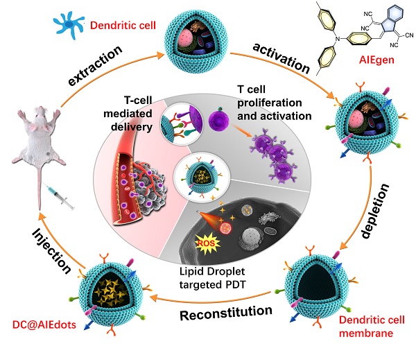 beat365在线体育app