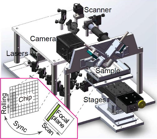 beat365在线体育app