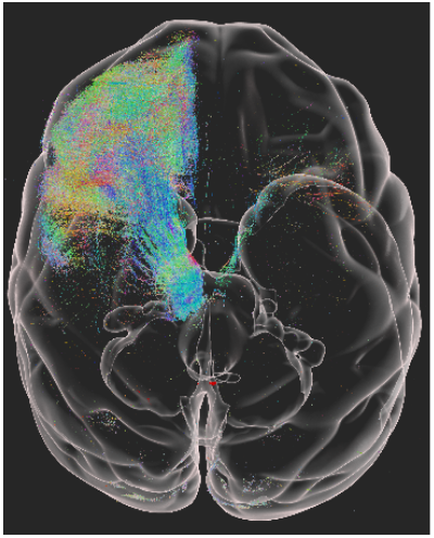 beat365在线体育app