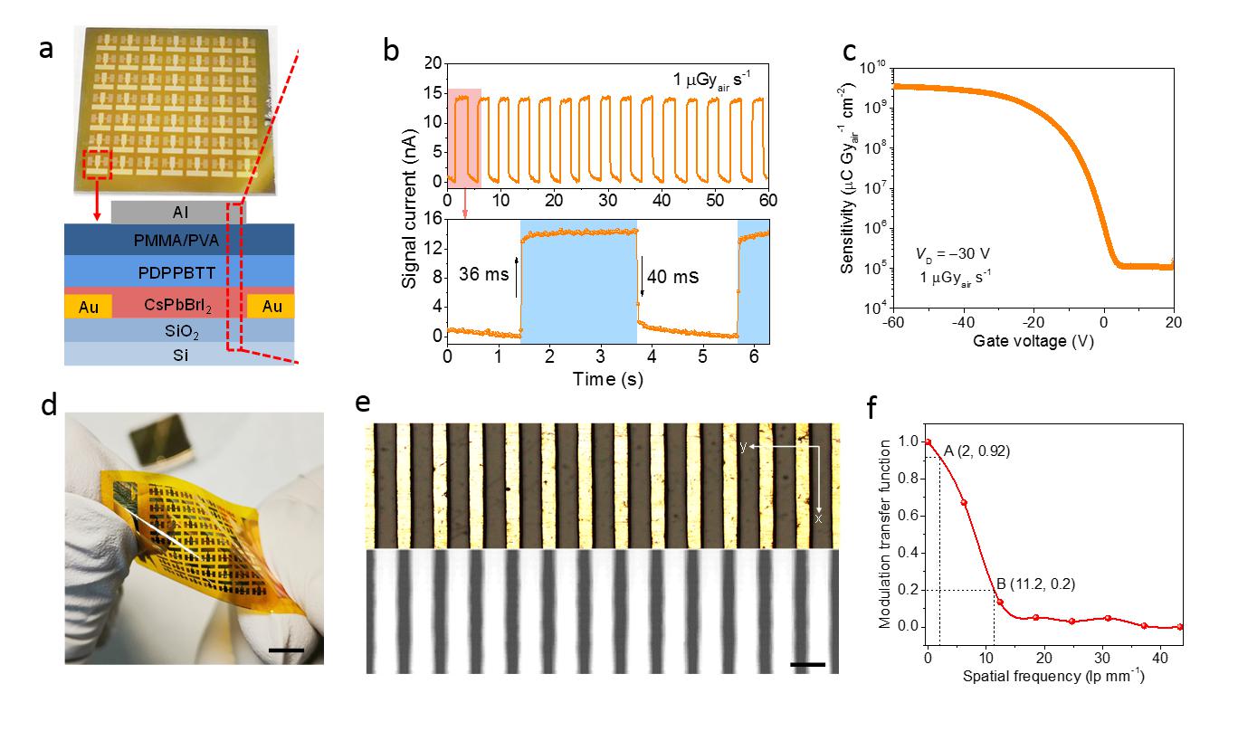 beat365在线体育app