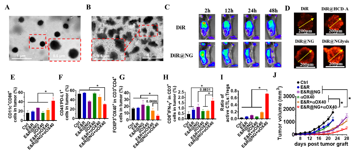 beat365在线体育app