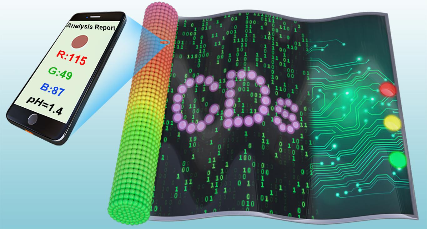 beat365在线体育app