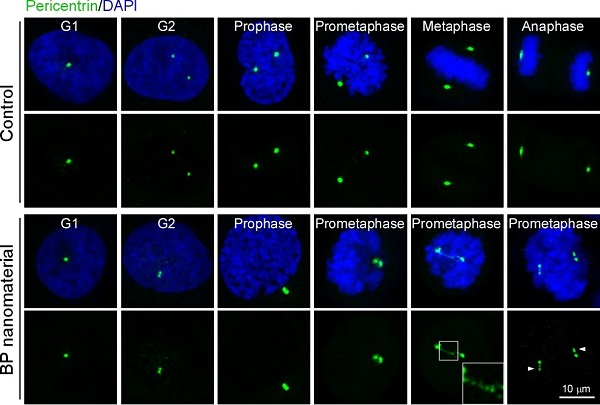 beat365在线体育app