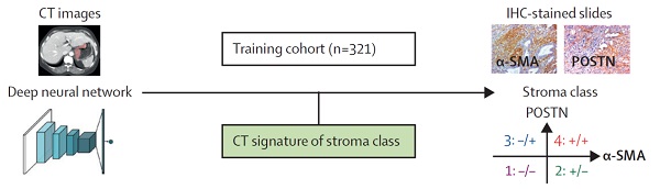 beat365在线体育app