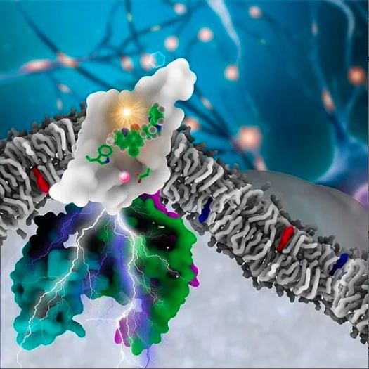 beat365在线体育app