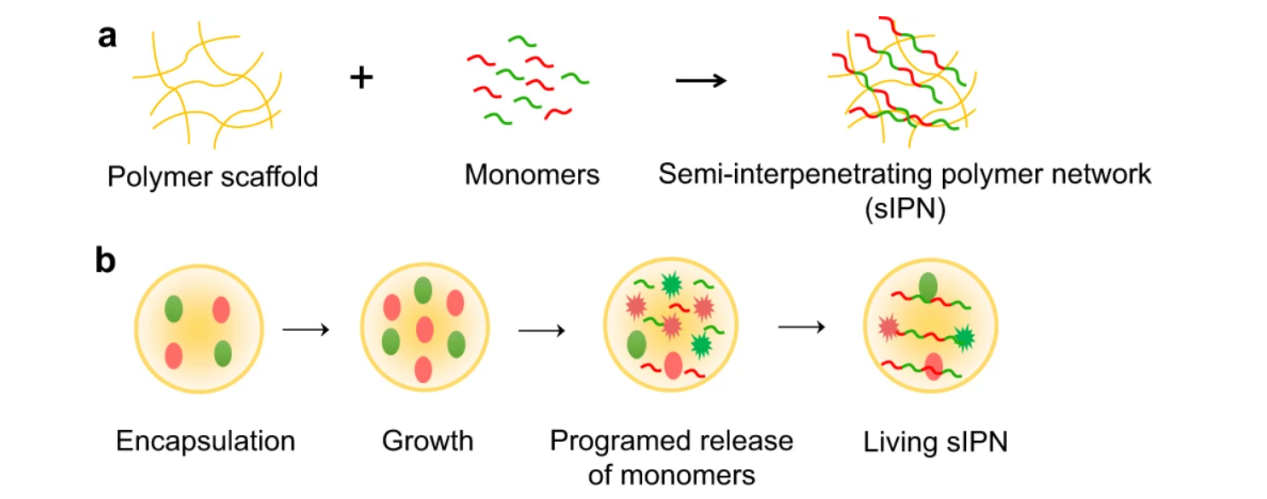 beat365在线体育app