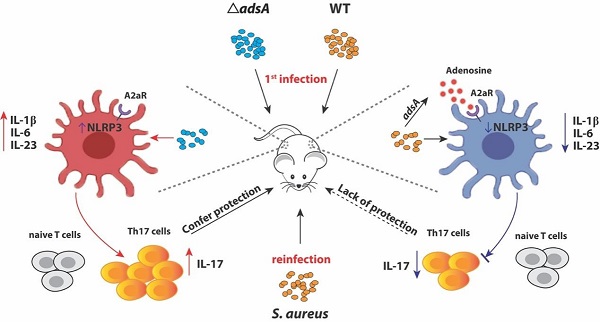 beat365在线体育app