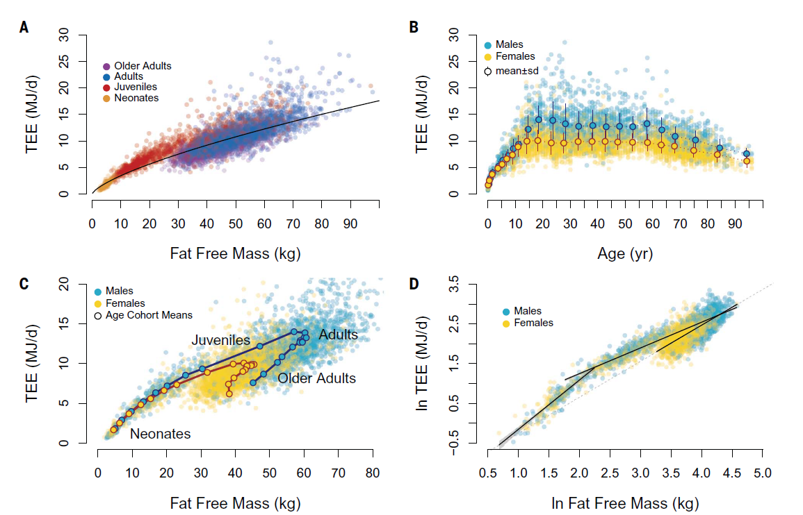 beat365在线体育app