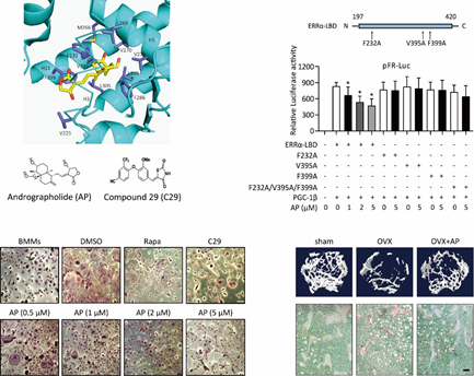 beat365在线体育app