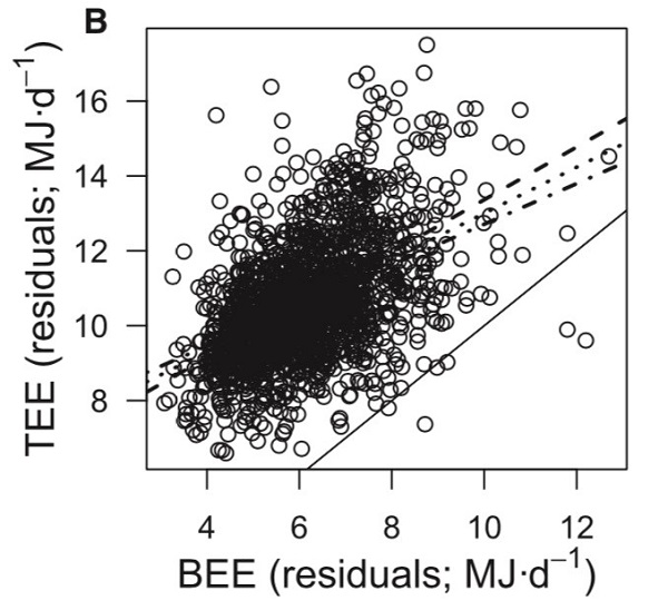 beat365在线体育app