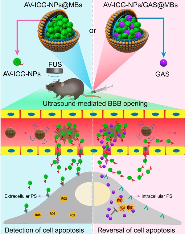 beat365在线体育app