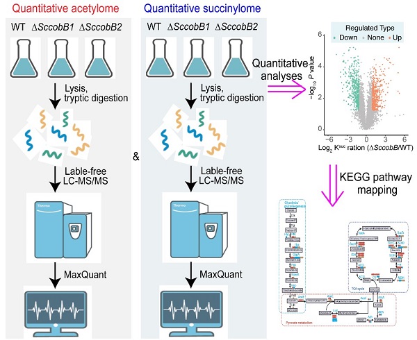 beat365在线体育app