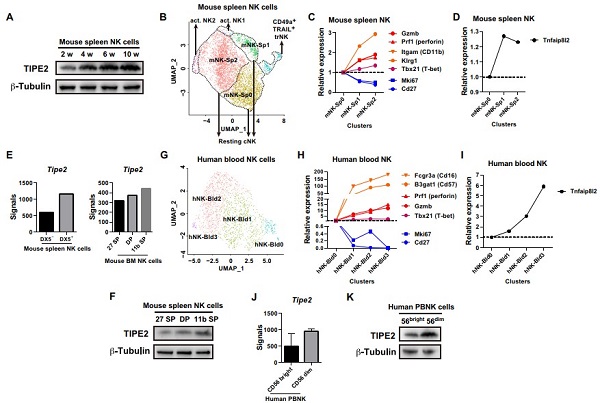 beat365在线体育app