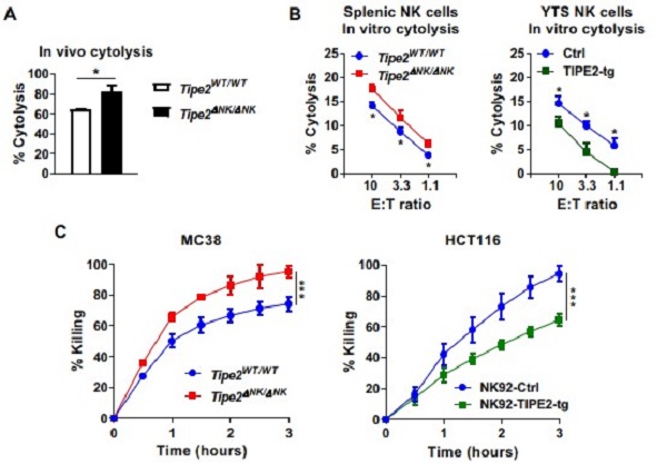 beat365在线体育app