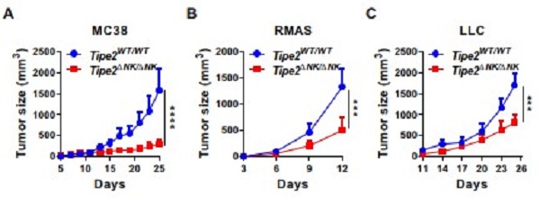 beat365在线体育app