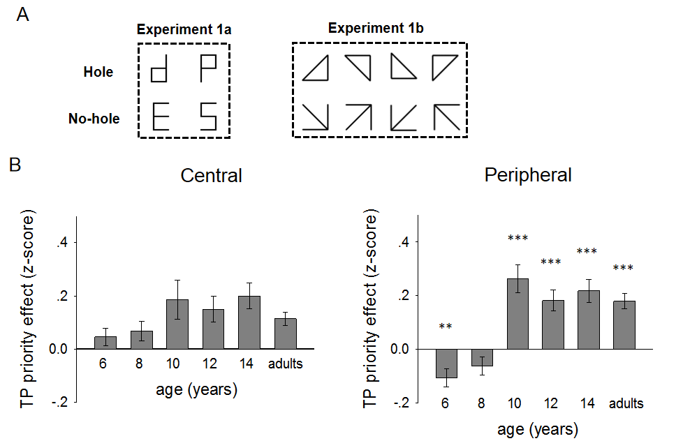 beat365在线体育app