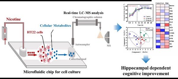 beat365在线体育app