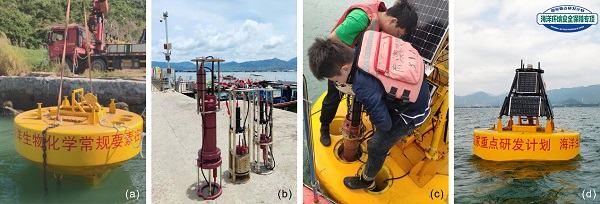 beat365在线体育app