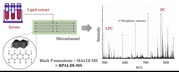 beat365在线体育app