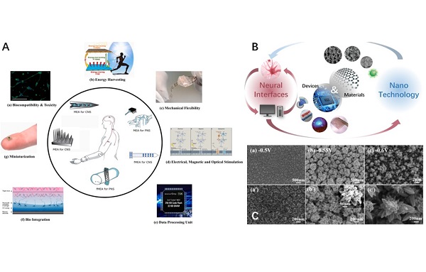 beat365在线体育app