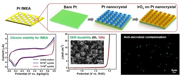 beat365在线体育app