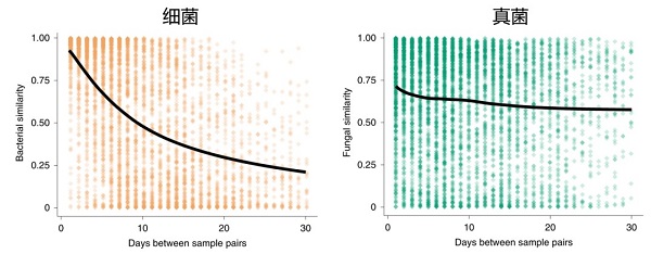 beat365在线体育app